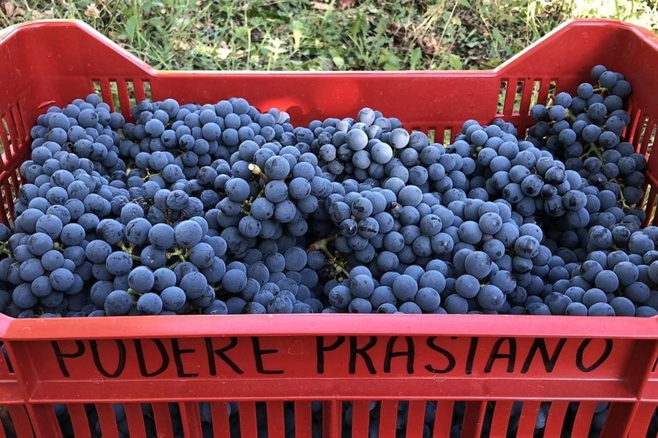 Agriturismo Podere Prasiano Marano sul Panaro Exteriér fotografie